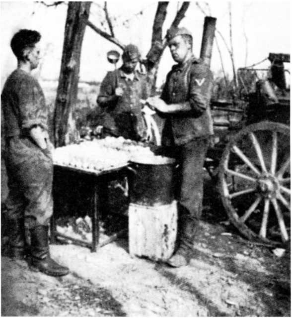 Иллюстрация к книге — Ленинградский "Блицкриг". На основе военных дневников высших офицеров вермахта генерал-фельдмаршала Вильгельма Риттера фон Лееба и генерал-полковника Франца Гальдера. 1941-1942 [i_017.jpg]