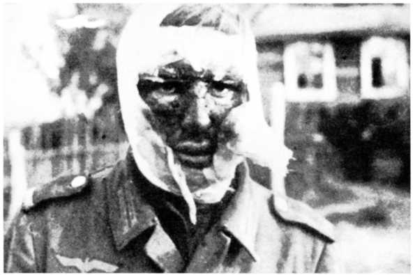 Иллюстрация к книге — Ленинградский "Блицкриг". На основе военных дневников высших офицеров вермахта генерал-фельдмаршала Вильгельма Риттера фон Лееба и генерал-полковника Франца Гальдера. 1941-1942 [i_020.jpg]