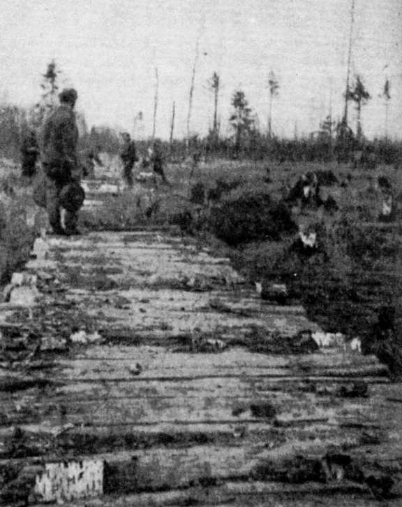 Иллюстрация к книге — Ленинградский "Блицкриг". На основе военных дневников высших офицеров вермахта генерал-фельдмаршала Вильгельма Риттера фон Лееба и генерал-полковника Франца Гальдера. 1941-1942 [i_029.jpg]