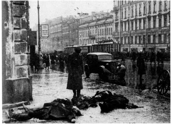 Иллюстрация к книге — Ленинградский "Блицкриг". На основе военных дневников высших офицеров вермахта генерал-фельдмаршала Вильгельма Риттера фон Лееба и генерал-полковника Франца Гальдера. 1941-1942 [i_031.jpg]