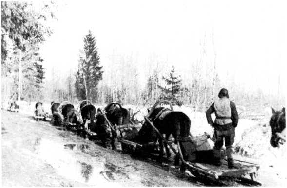 Иллюстрация к книге — Ленинградский "Блицкриг". На основе военных дневников высших офицеров вермахта генерал-фельдмаршала Вильгельма Риттера фон Лееба и генерал-полковника Франца Гальдера. 1941-1942 [i_037.jpg]