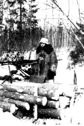 Иллюстрация к книге — Ленинградский "Блицкриг". На основе военных дневников высших офицеров вермахта генерал-фельдмаршала Вильгельма Риттера фон Лееба и генерал-полковника Франца Гальдера. 1941-1942 [i_041.jpg]