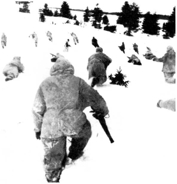 Иллюстрация к книге — Ленинградский "Блицкриг". На основе военных дневников высших офицеров вермахта генерал-фельдмаршала Вильгельма Риттера фон Лееба и генерал-полковника Франца Гальдера. 1941-1942 [i_045.jpg]