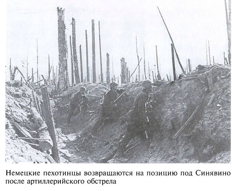 Иллюстрация к книге — По обе стороны блокадного кольца [i_006.jpg]