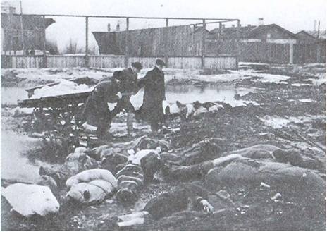 Иллюстрация к книге — По обе стороны блокадного кольца [i_022.jpg]