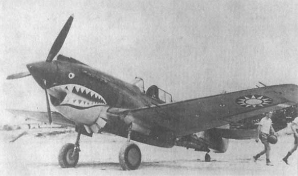 Иллюстрация к книге — Пикирующие бомбардировщики: История пикировщика. Пикировщики над джунглями [_02.jpg]