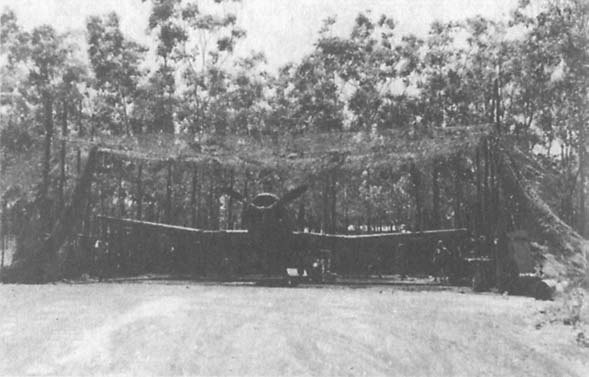 Иллюстрация к книге — Пикирующие бомбардировщики: История пикировщика. Пикировщики над джунглями [_07.jpg]