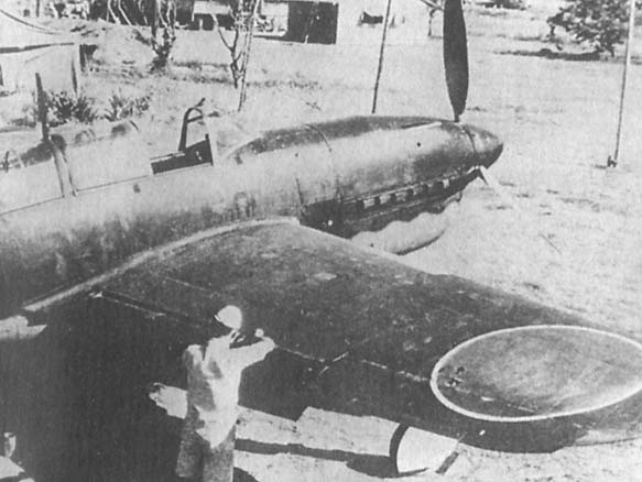 Иллюстрация к книге — Пикирующие бомбардировщики: История пикировщика. Пикировщики над джунглями [_24.jpg]