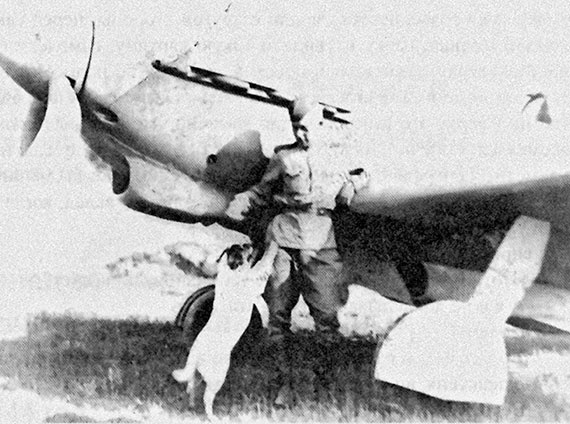 Иллюстрация к книге — На перехват! Летная книжка "сталинского сокола" [i_016.jpg]