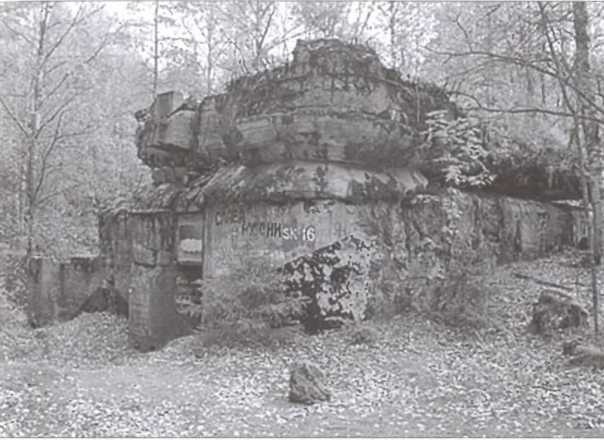 Иллюстрация к книге — Зимняя война 1939-1940 гг. [i_005.jpg]