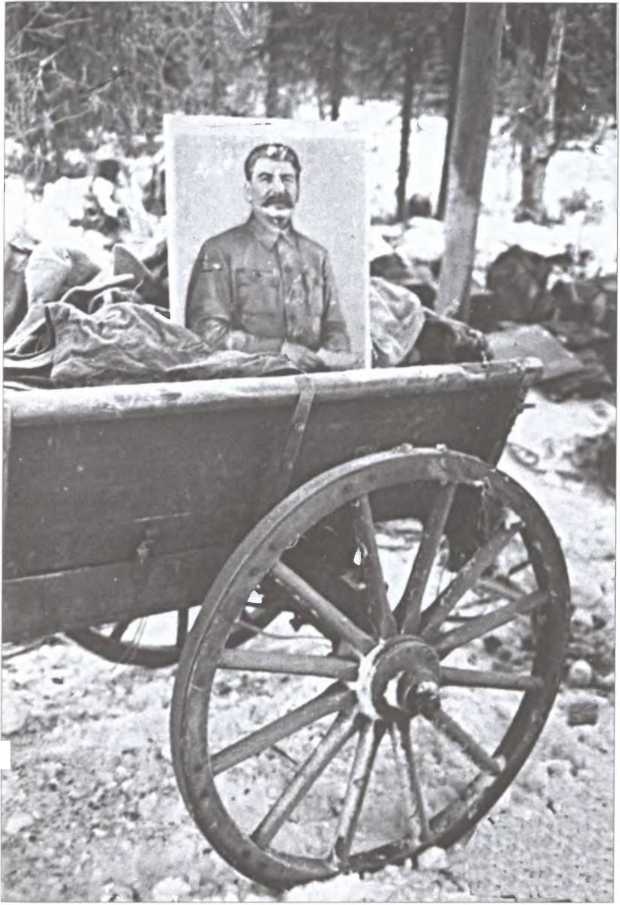 Иллюстрация к книге — Зимняя война 1939-1940 гг. [i_014.jpg]