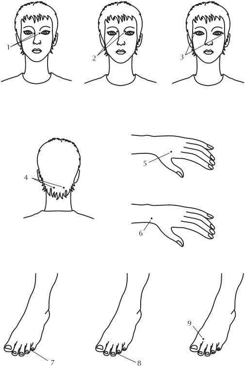 Иллюстрация к книге — Настольная книга для женщин после сорока. Домашняя энциклопедия [_01.jpg]