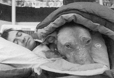 Иллюстрация к книге — Спасенные [i_012.jpg]