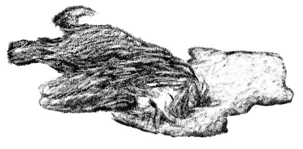 Иллюстрация к книге — Я всего лишь собака [i_002.jpg]