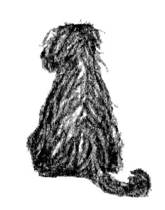 Иллюстрация к книге — Я всего лишь собака [i_007.jpg]