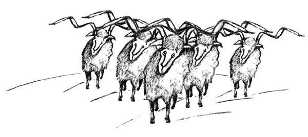 Иллюстрация к книге — Я всего лишь собака [i_009.jpg]