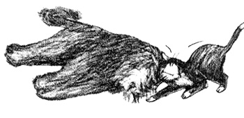 Иллюстрация к книге — Я всего лишь собака [i_027.jpg]