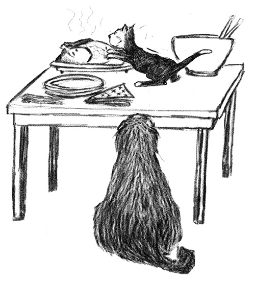 Иллюстрация к книге — Я всего лишь собака [i_034.jpg]