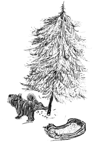 Иллюстрация к книге — Я всего лишь собака [i_036.jpg]