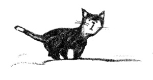 Иллюстрация к книге — Я всего лишь собака [i_037.jpg]