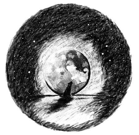 Иллюстрация к книге — Я всего лишь собака [i_039.jpg]