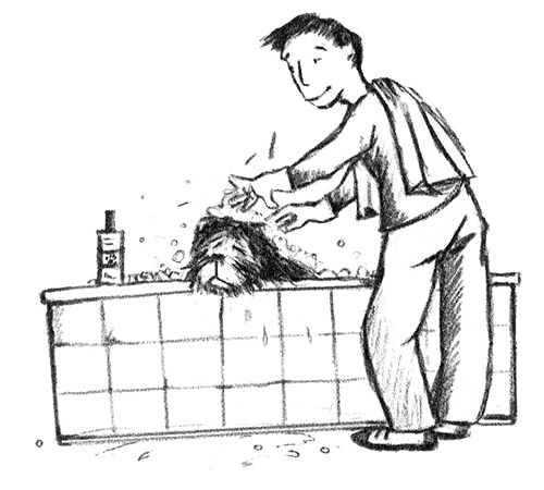 Иллюстрация к книге — Я всего лишь собака [i_040.jpg]