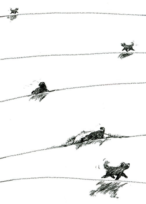 Иллюстрация к книге — Я всего лишь собака [i_046.jpg]