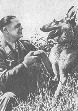 Иллюстрация к книге — Черный крест и красная звезда. Воздушная война над Россией. 1941-1944 [i_126.jpg]