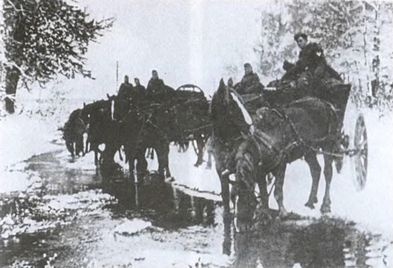 Иллюстрация к книге — Котел смерти в Курляндии. Хроника сражений группы армий "Север" 1944-1945 [i_071.jpg]