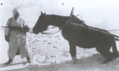 Иллюстрация к книге — Котел смерти в Курляндии. Хроника сражений группы армий "Север" 1944-1945 [i_072.jpg]