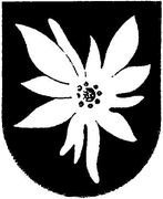 Иллюстрация к книге — Последний триумф Вермахта. Харьковский "котел" [i_026.jpg]