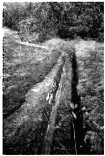 Иллюстрация к книге — Брестская крепость [i_041.jpg]