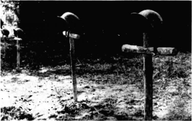 Иллюстрация к книге — Брестская крепость [i_093.jpg]