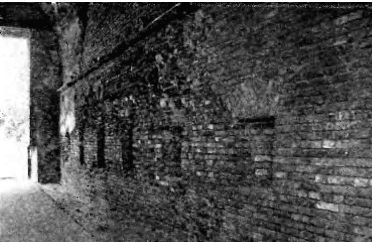 Иллюстрация к книге — Брестская крепость [i_127.jpg]