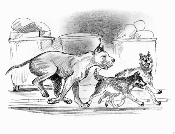 Иллюстрация к книге — Собаки и мы. Записки дрессировщика [ris08.jpg]