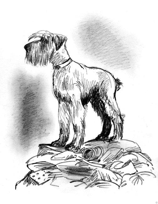 Иллюстрация к книге — Собаки и мы. Записки дрессировщика [ris09.jpg]