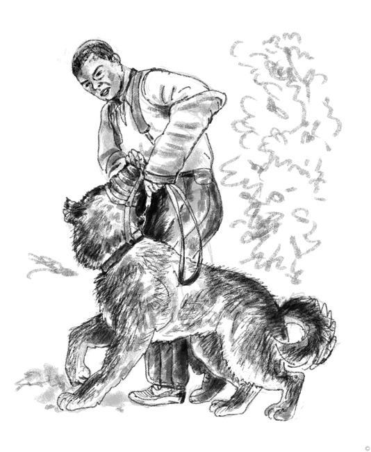 Иллюстрация к книге — Собаки и мы. Записки дрессировщика [ris24_.jpg]