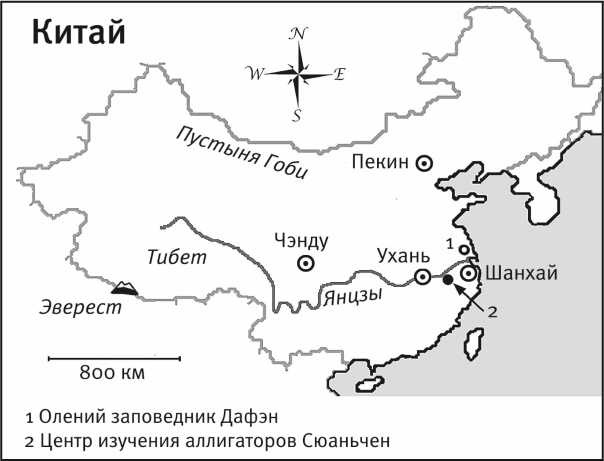 Иллюстрация к книге — Песни драконов. Любовь и приключения в мире крокодилов и прочих динозавровых родственников [i_008.jpg]