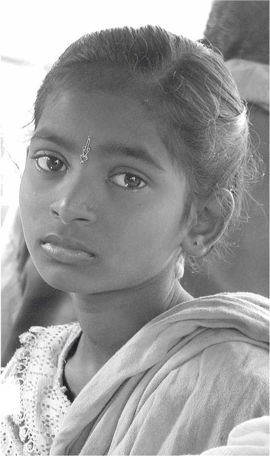 Иллюстрация к книге — Песни драконов. Любовь и приключения в мире крокодилов и прочих динозавровых родственников [i_014.jpg]