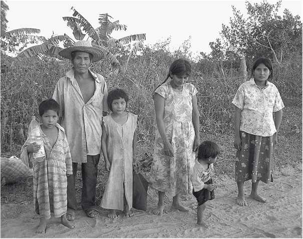 Иллюстрация к книге — Песни драконов. Любовь и приключения в мире крокодилов и прочих динозавровых родственников [i_024.jpg]