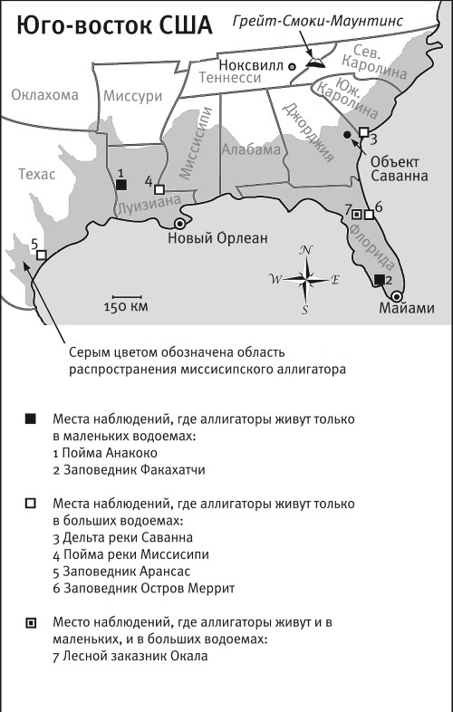Иллюстрация к книге — Песни драконов. Любовь и приключения в мире крокодилов и прочих динозавровых родственников [i_038.jpg]