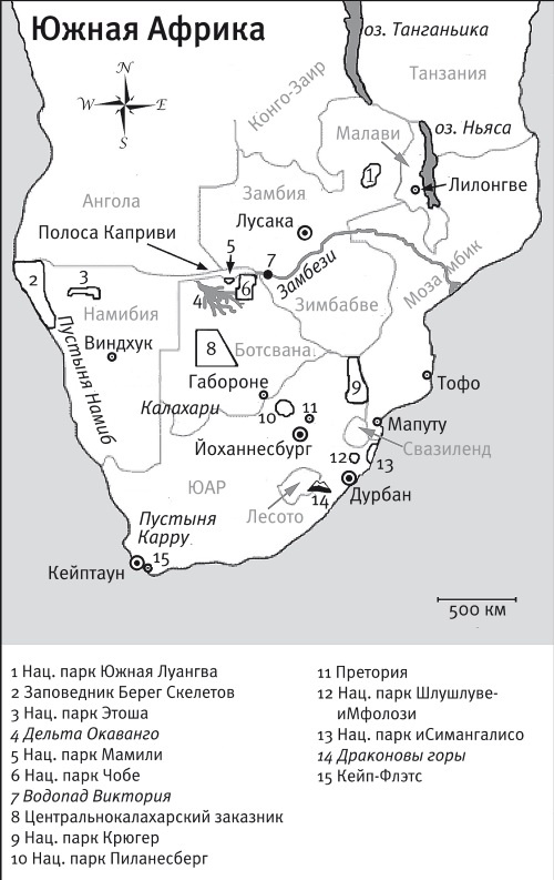 Иллюстрация к книге — Песни драконов. Любовь и приключения в мире крокодилов и прочих динозавровых родственников [i_040.jpg]