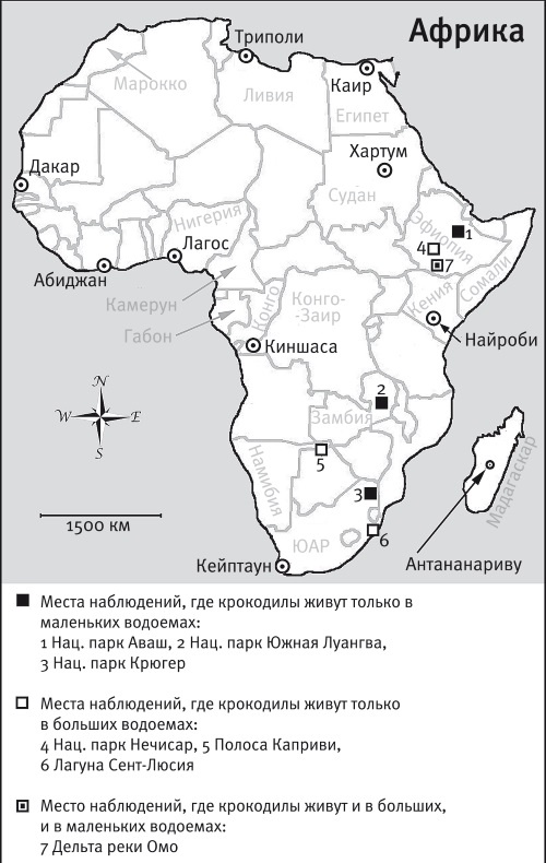 Иллюстрация к книге — Песни драконов. Любовь и приключения в мире крокодилов и прочих динозавровых родственников [i_045.jpg]