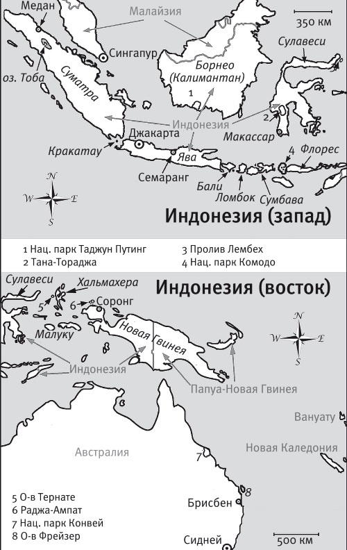 Иллюстрация к книге — Песни драконов. Любовь и приключения в мире крокодилов и прочих динозавровых родственников [i_060.jpg]