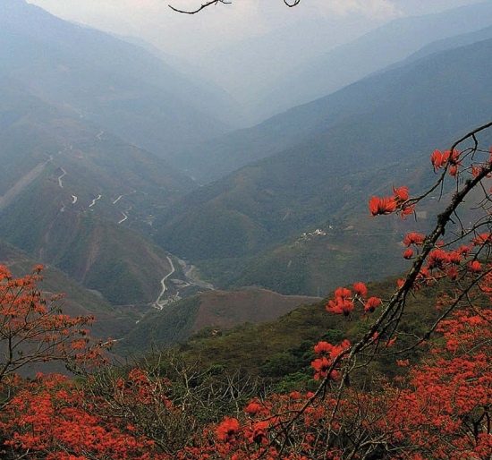 Иллюстрация к книге — Песни драконов. Любовь и приключения в мире крокодилов и прочих динозавровых родственников [i_081.jpg]