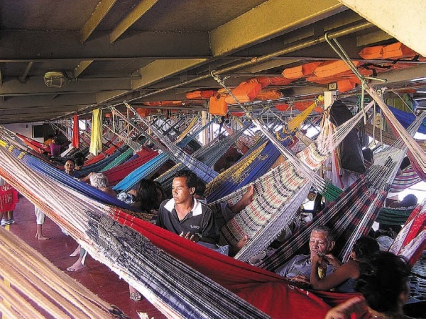 Иллюстрация к книге — Песни драконов. Любовь и приключения в мире крокодилов и прочих динозавровых родственников [i_094.jpg]