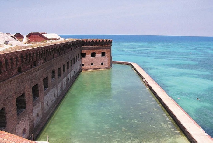 Иллюстрация к книге — Песни драконов. Любовь и приключения в мире крокодилов и прочих динозавровых родственников [i_107.jpg]