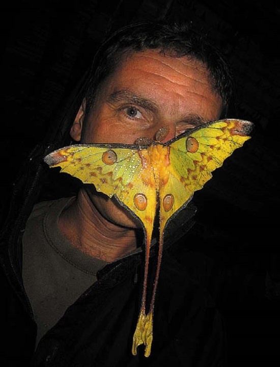 Иллюстрация к книге — Песни драконов. Любовь и приключения в мире крокодилов и прочих динозавровых родственников [i_119.jpg]