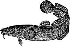 Иллюстрация к книге — Рыбалка. На мормышку без насадки [_35.jpg]