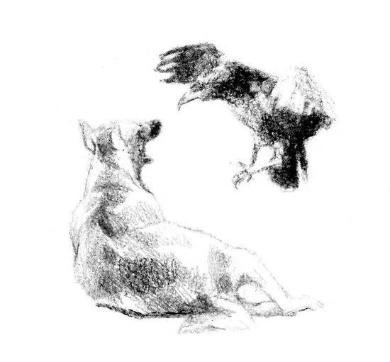 Иллюстрация к книге — Бегство к себе. Жизнь подростка [i_005.jpg]